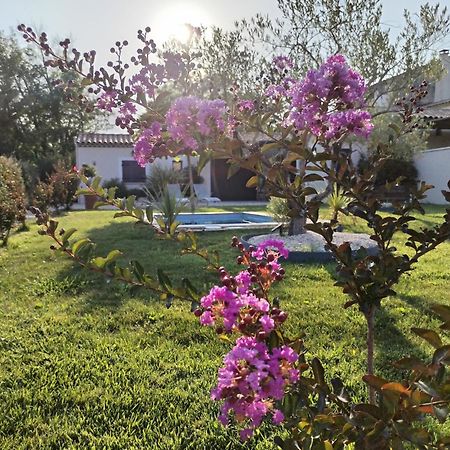 Maison En Campagne Αβινιόν Εξωτερικό φωτογραφία