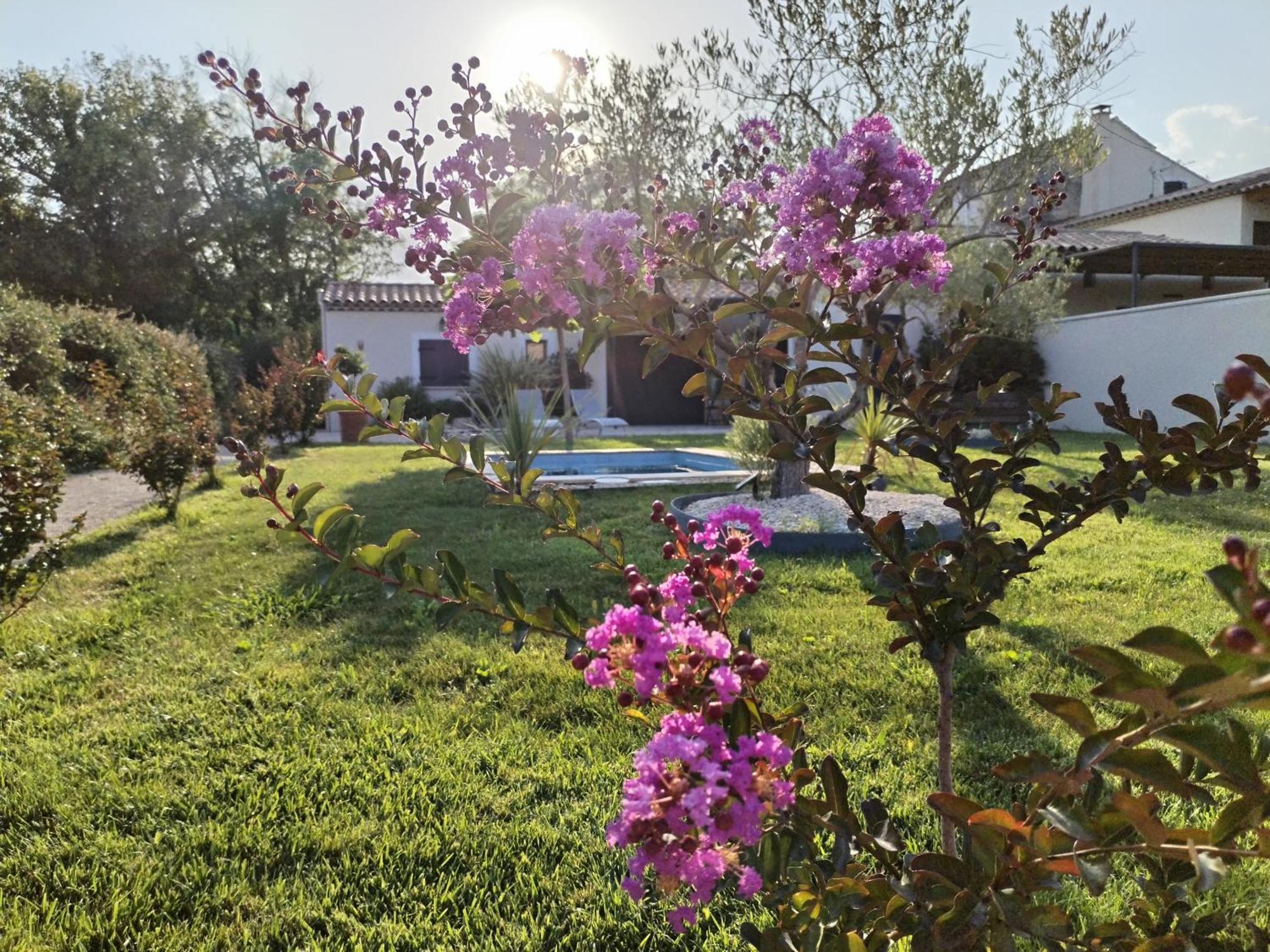 Maison En Campagne Αβινιόν Εξωτερικό φωτογραφία